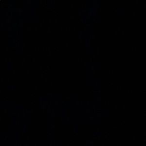 Meet your Posher, Michaela